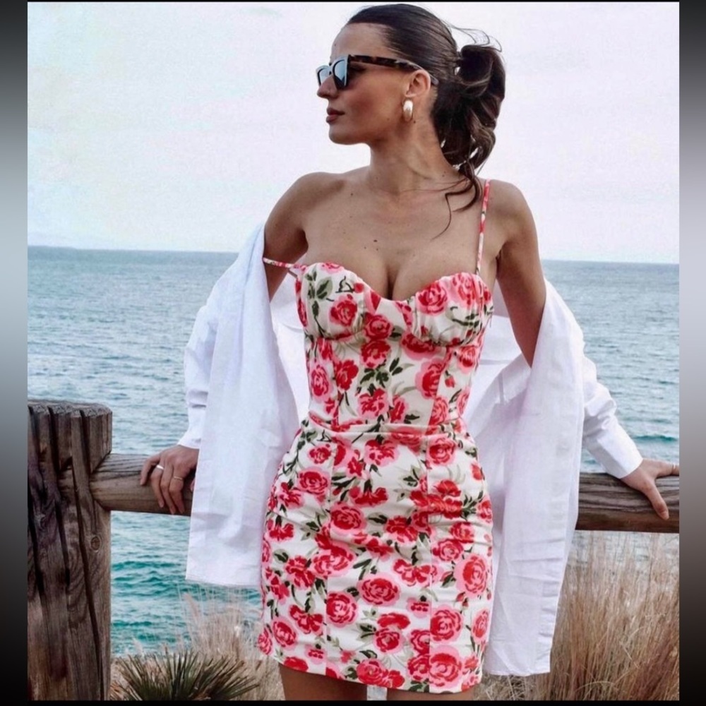 Zara | Floral Rose Dress Blogger Favorite Size XXL Pink White